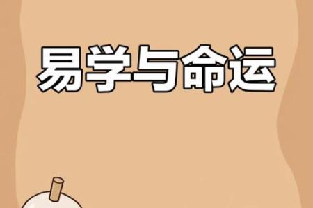 命理学中的波折多命：揭秘背后的奥秘与人生智慧
