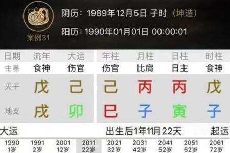 探索二月初五的命运 每年独特的命理之旅