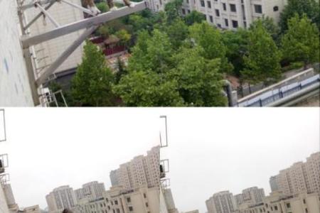 探秘猫咪的神秘魅力：为什么说它们有九条命？