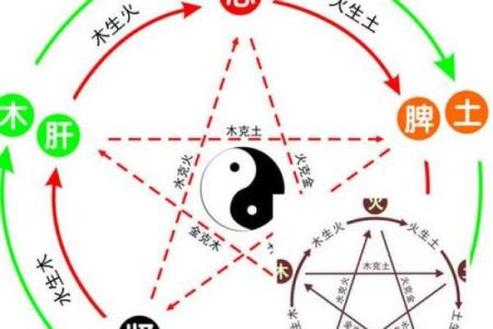 探索命理五行的奥秘：揭示阴阳背后的深刻智慧