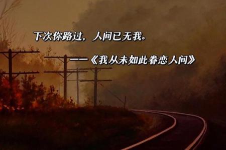 苦命奔波,命凄凉:寻觅生活的光亮与希望