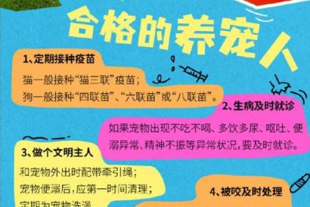 命里缺火的人适合养什么宠物?让你的生活更加温暖和幸福!