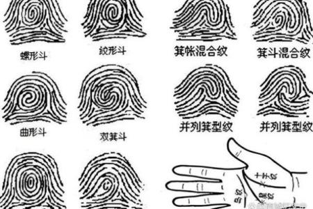石榴木命格的奥秘与人生启示