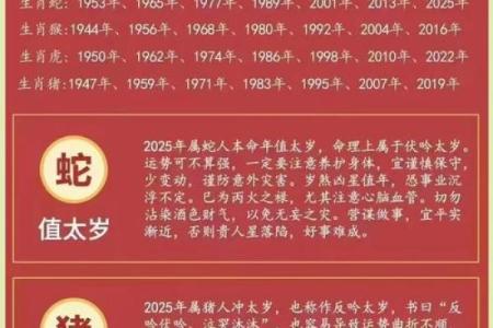命里辰宫鱼化龙：探秘生肖的神秘意义与命运之路