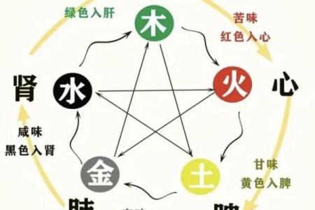 探秘“命到五常”:生命的深刻哲理与实践之道