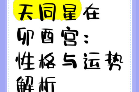 葵酉年出生的人,命运与运势的深度解析与揭示