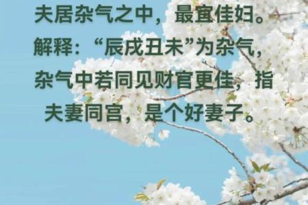 揭开命理之谜:女人菜籽命与男人命运的深刻对比