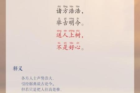 探寻命性与后道的深邃智慧：皆率衷的内涵与启示