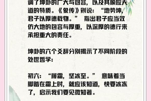 探索命格中的坤：深度解析其象征意义与影响