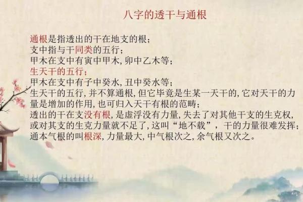 命理解读：截脚足的含义与人生启示