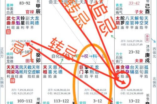 探索禄合鸳鸯格：命盘中的爱情与财富之道
