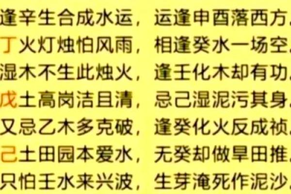 命局最旺五行解析：深度解析五行对人生运势的影响