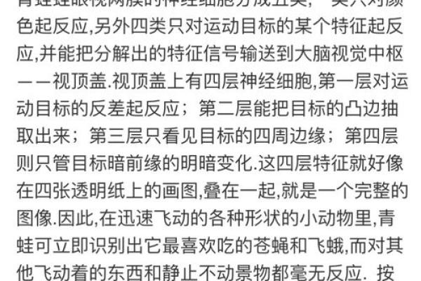 探索“九六年十一月初三”的命理密码与生活启示