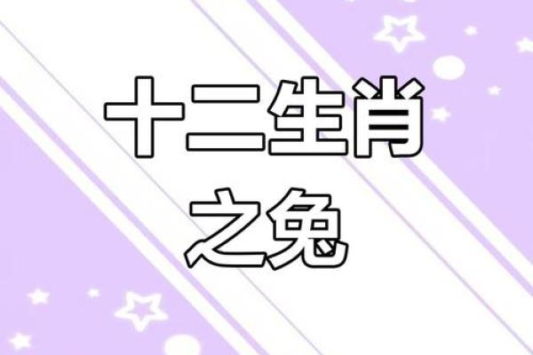 女26岁属兔命理解析：探寻兔年女性的性格与命运之道