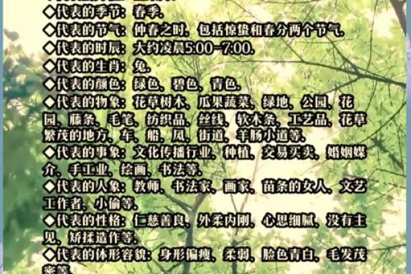 木命与土命：属相背后的元素解密与命运解析