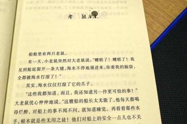 老鼠的命运与人类的启示：在生存之道中的思考