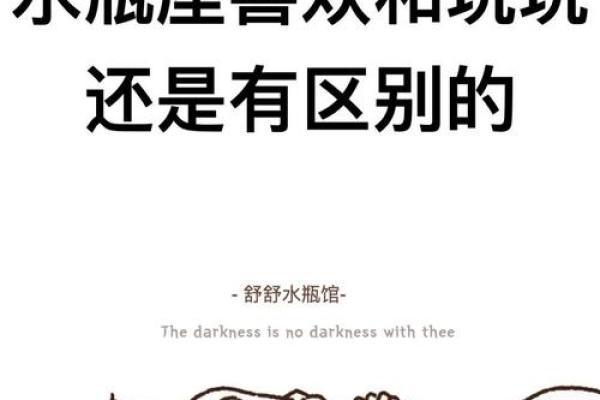 两个水瓶相聚，命中注定的缘分与共鸣