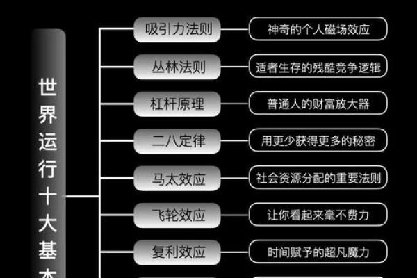 命里九个字，解读人生的奥秘与智慧