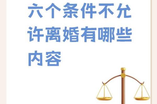 离婚女人的命运探究：如何重拾人生新篇章