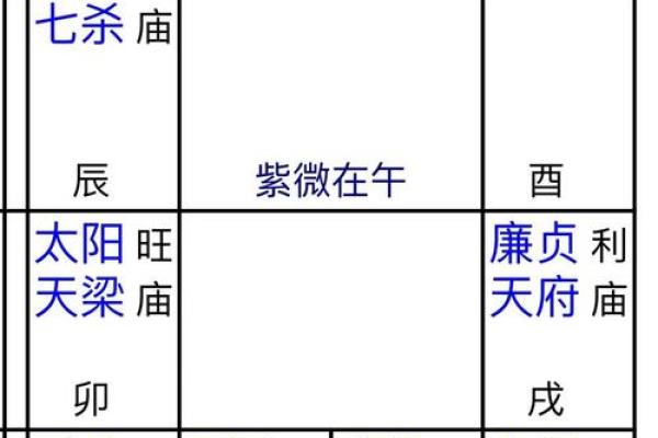 女命离九宫：解读女性命理的奥秘与智慧