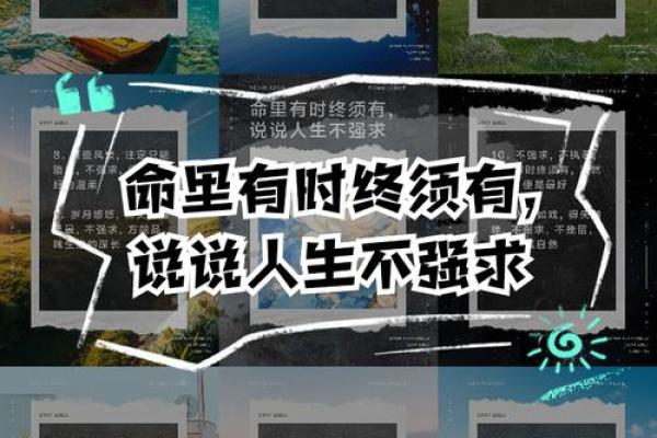 命里有时终须有，命里无时莫强求！解析命理与真命的奥秘