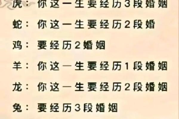 命里有时终须有，命里无时莫强求！解析命理与真命的奥秘
