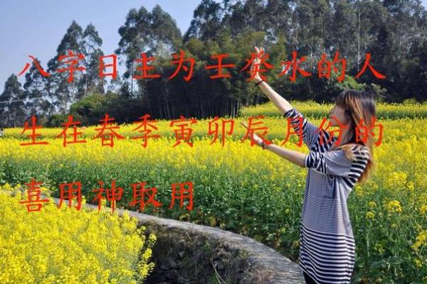 命局喜用方位与魅力女性的秘密之旅