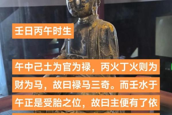 女命壬水与丁火财星的玄妙结合与人生启示
