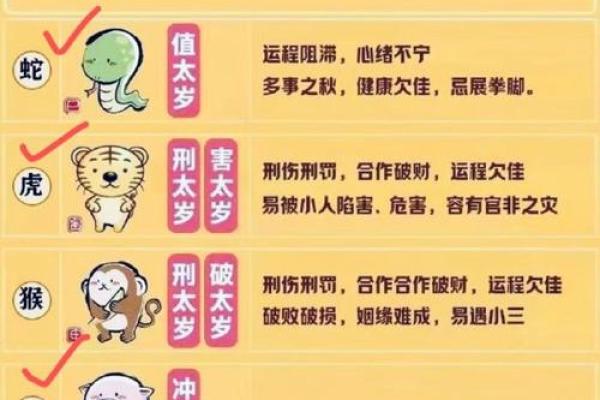 2024年男孩出生属什么命？解析生辰八字带来的命运启示