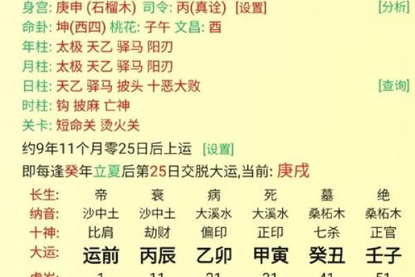 2024年男孩出生属什么命？解析生辰八字带来的命运启示