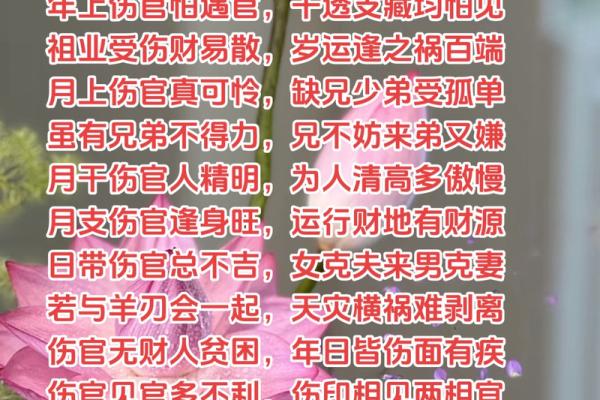 男命从弱伤官见官的命理解析与人生启示