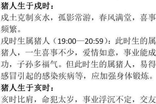 探秘“命”的奥义：人与命运之间的微妙关系