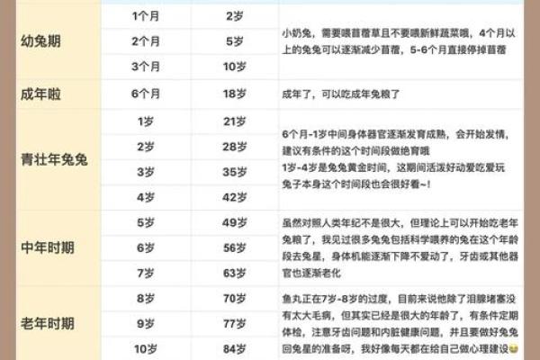 九月出生的兔子命格解析：温和聪慧的灵性之旅