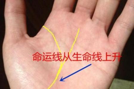 揭秘蝴蝶命女:手相中的女神特征与命运解析