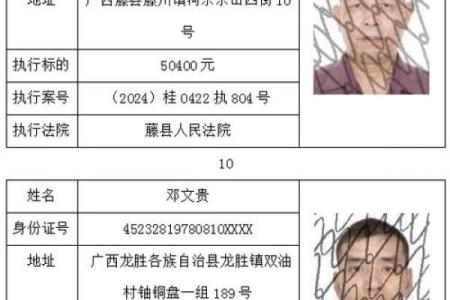 老赖的命运:从失信者到新生的反思之路