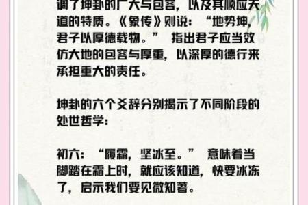探索命格中的坤:深度解析其象征意义与影响