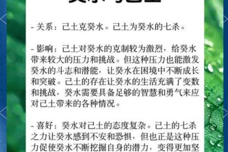 葵水命女性适合的男人:智慧与温柔的完美结合