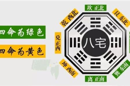 离命东西命的深层含义与生活启示