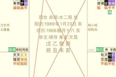 巨门入命:探秘神秘命格的深层含义与解析