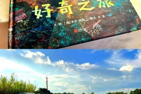 男的数羊，女的数龙：命运之结合的奇妙探索