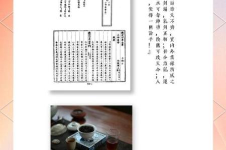 看命与算命:解读未来的两种不同方式