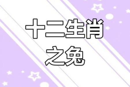 女26岁属兔命理解析:探寻兔年女性的性格与命运之道