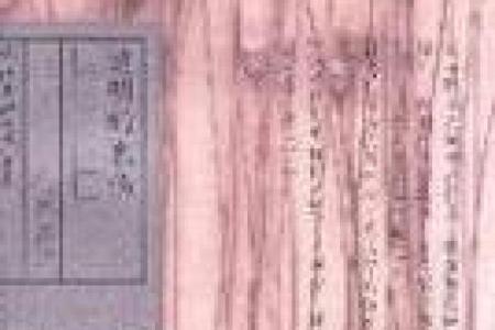 李修缘的命运：父母双亡背后的生命启示与奋斗之路