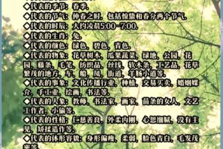 木命与土命：属相背后的元素解密与命运解析