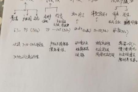 命运的密码：揭示高命局的奥秘与特征
