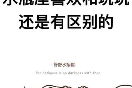 两个水瓶相聚，命中注定的缘分与共鸣