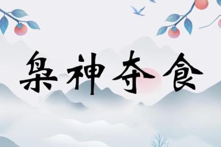 男命中食神相伴,智慧与财富共舞的命运