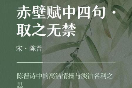 冷锋：用命换命的勇气与承诺，探寻这背后的深意