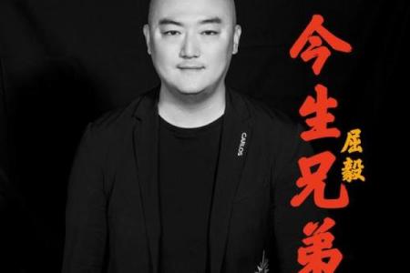 两兄弟相依为命，他们的命运交织成如何动人的传奇