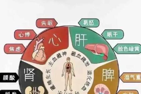 揭秘女人三两命，人生的奇妙旅程与命运的早知！